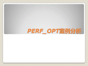 PERFOPT案例分析.ppt