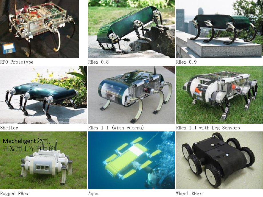 RHex系列机器人.ppt_第3页