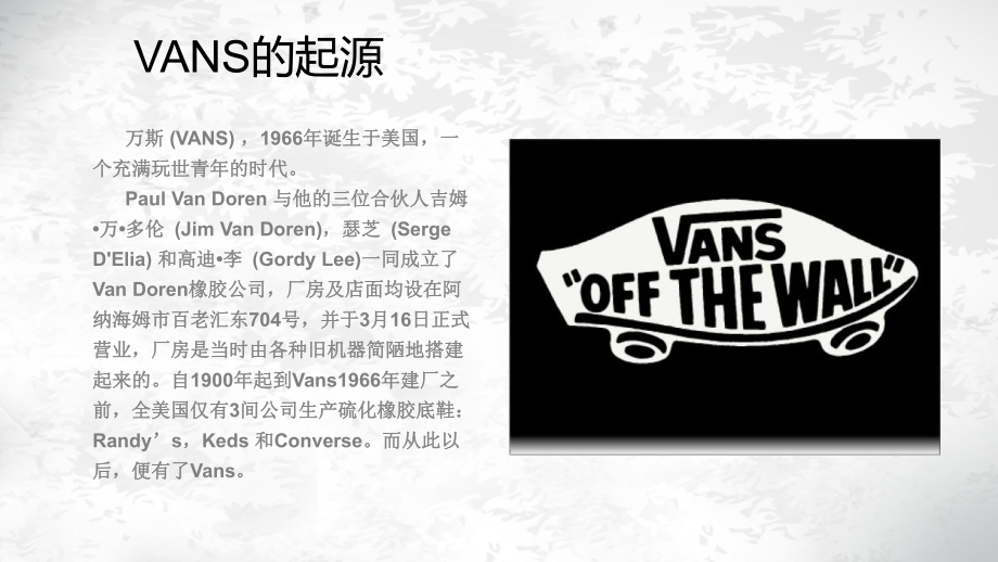 VANS品牌调研报告.ppt_第2页