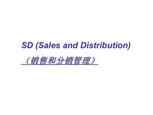 SAPSD中文培训资料.ppt