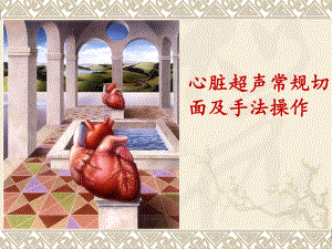 心脏超声常规切面及手法操作.ppt