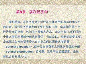 微观经济学福利经济学.ppt
