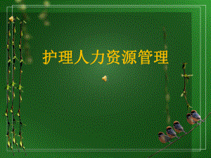 护理人力资源管理.ppt