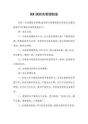 XX镇财务管理制度.docx