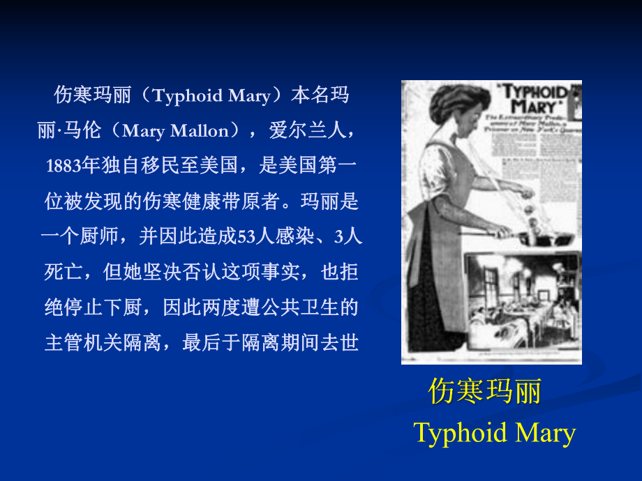 【传染病学】伤寒.ppt_第2页