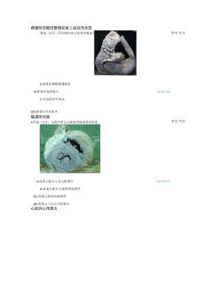 病理形态题目整理.docx