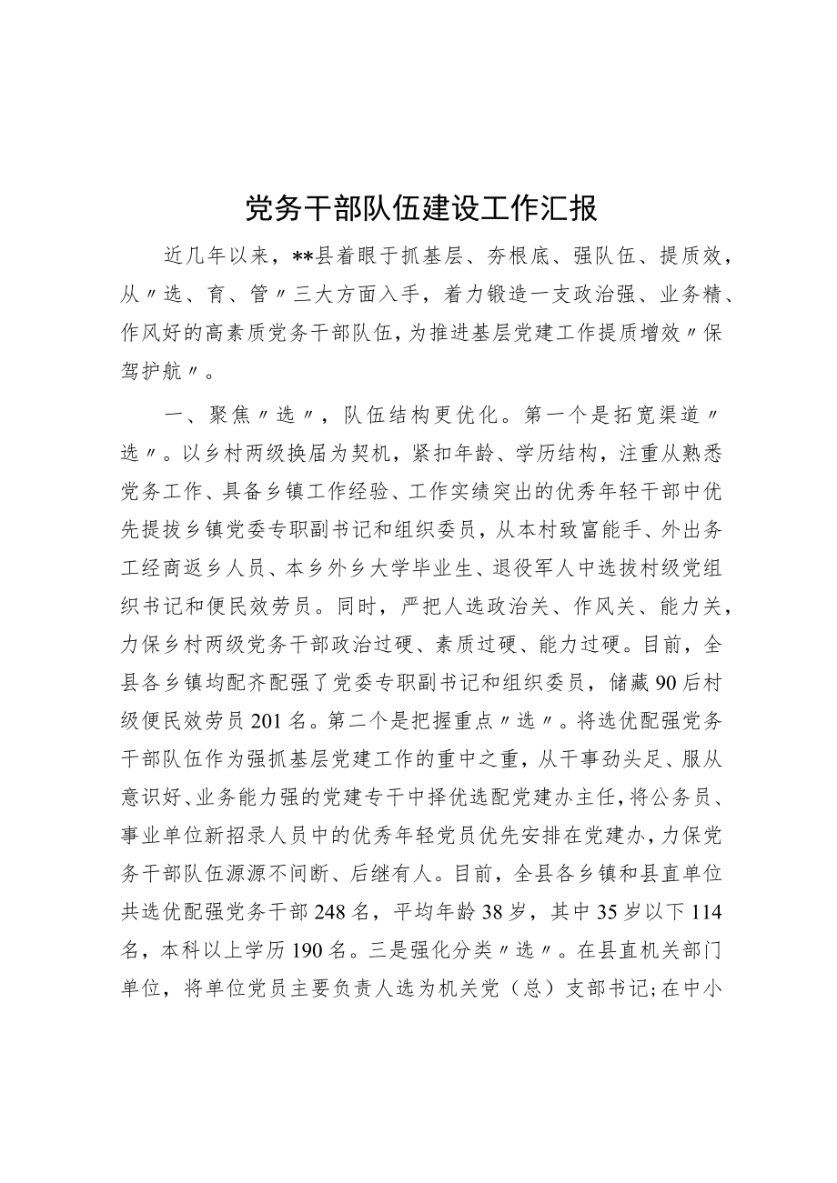 党务干部队伍建设工作汇报.docx_第1页