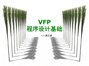 VFP结构化程序设计课件.ppt