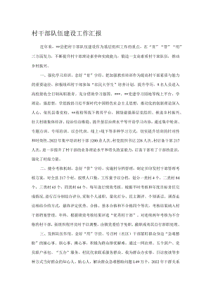 村干部队伍建设工作汇报.docx