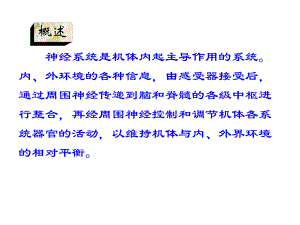 【医学课件】神经系统总论ppt课件.ppt