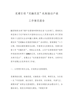 党建引领“双融双促”机制推动产销工作情况报告.docx
