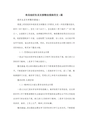 有关组织生活支部整改措施范文3篇.docx