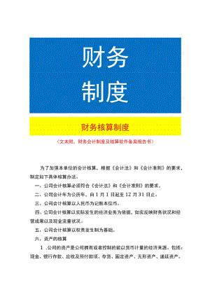 财务核算制度模板.docx