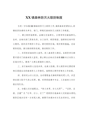 XX镇森林防灭火联防制度.docx
