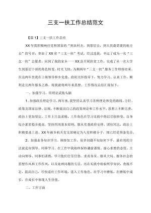 三支一扶工作总结范文.docx