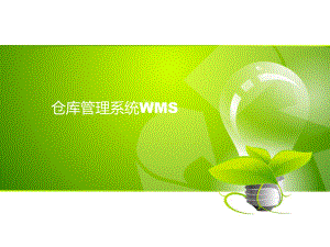 仓库管理系统WMS.ppt