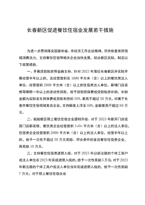 长春新区促进餐饮住宿业发展若干措施.docx