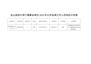 龙山县统计局下属事业单位2023年公开选调工作人员岗位计划表.docx