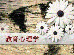 《教育心理学》.ppt