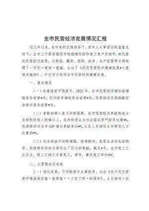 全市民营经济发展情况汇报.docx