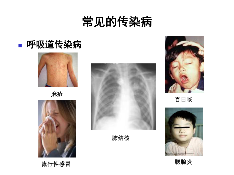 传染病PPT课件.ppt_第3页