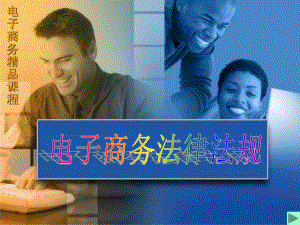 §8电子商务法律法规.ppt