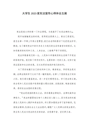 大学生2023度宪法宣传心得体会五篇.docx