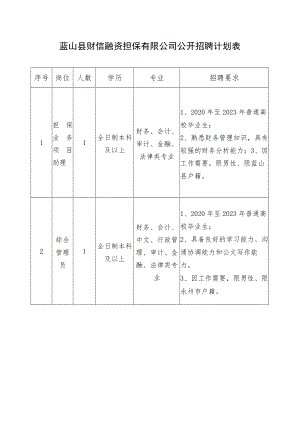 蓝山县财信融资担保有限公司公开招聘计划表.docx