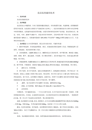 羌活高效栽培技术.docx