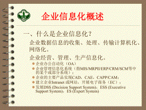 企业信息化概述.ppt