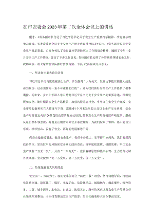 在市安委会2023年第二次全体会议上的讲话.docx