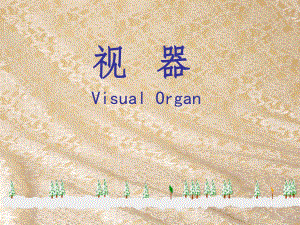 【医学课件】视器——眼.ppt