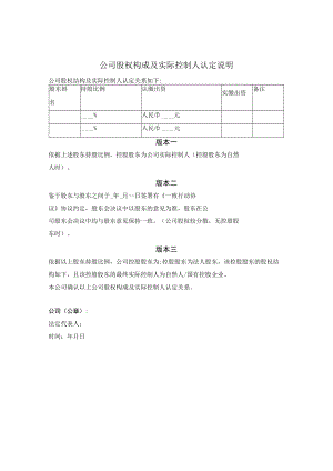 公司股权构成及实际控制人认定说明.docx
