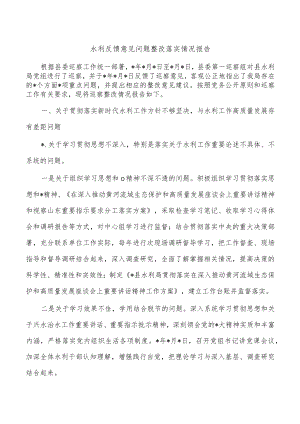 水利反馈意见问题整改落实情况报告.docx