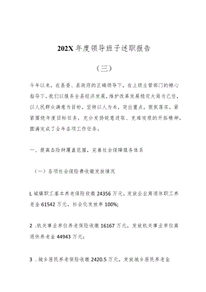 202X年度领导班子述职报告（三）.docx
