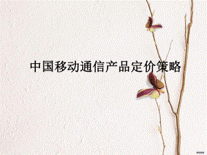 中国移动通信产品定价策略.ppt