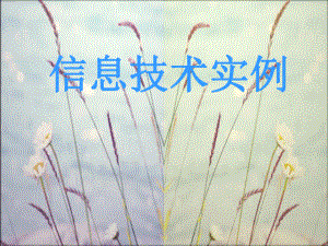 信息技术实例.ppt