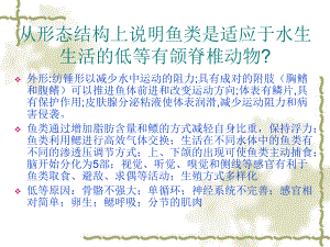 动物生物学两栖纲.ppt