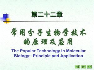分子生物学常用技术.ppt
