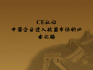 医疗器械CE认证.ppt