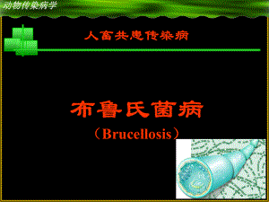 动物医学课件：布病.ppt