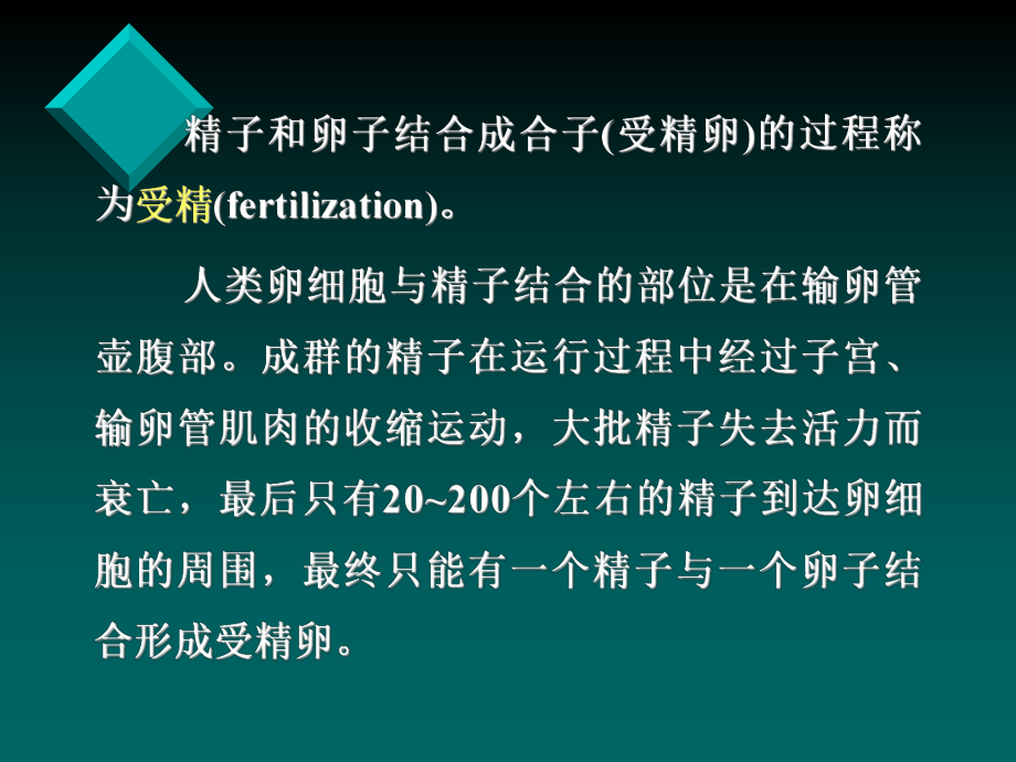 医学生物学6.ppt_第2页