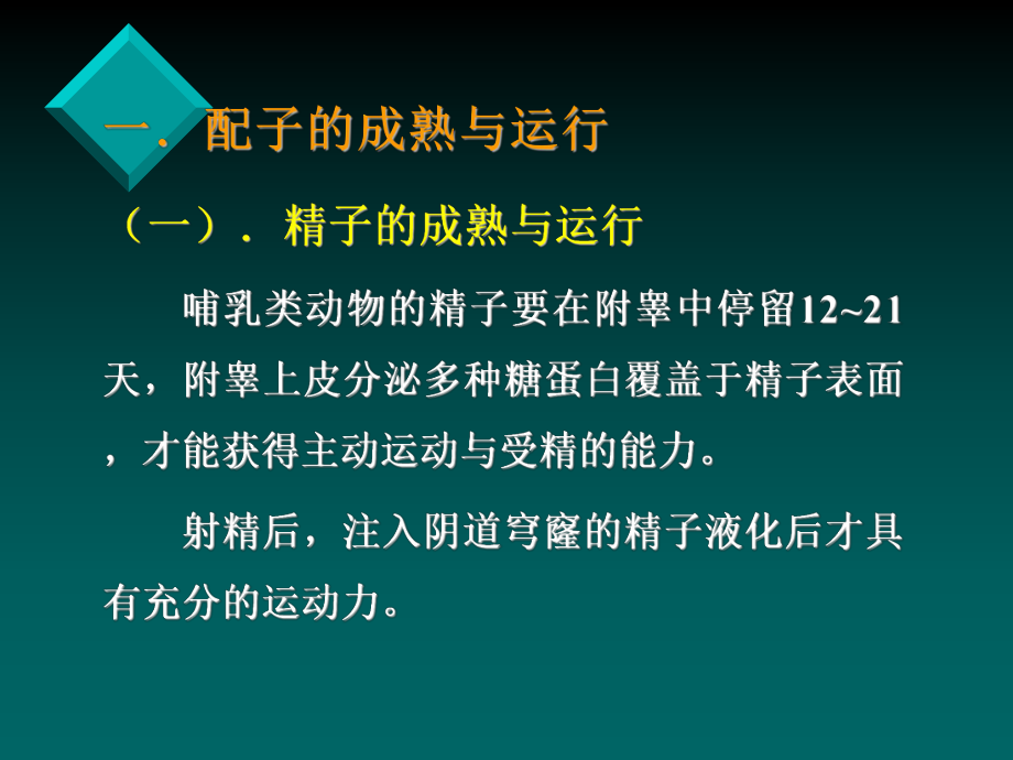 医学生物学6.ppt_第3页