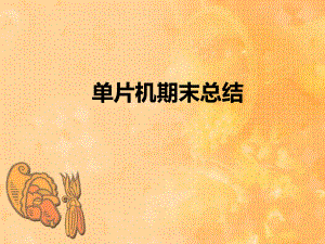 单片机(总结).ppt