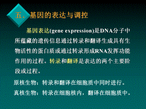 医学生物学7.ppt
