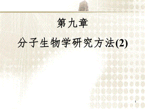 分子生物学导论分子生物学研究方法.ppt