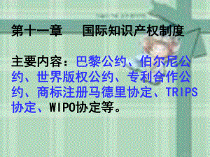 国际知识产权制度.ppt