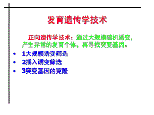 发育生物学——发育生物学研究技术.ppt