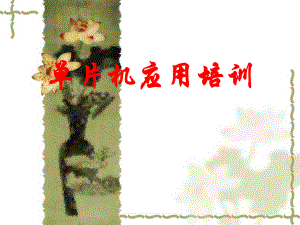 单片机应用(实战培训).ppt