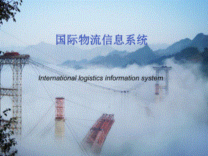国际物流信息系统.ppt